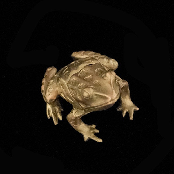 Table Art - Leopard Frog Box